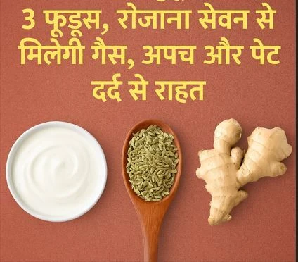 डाइजेशन मजबूत करने वाले ये 3 फूड्स, रोजाना सेवन से मिलेगी गैस, अपच और पेट दर्द से राहत