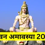 Sawan Amavasya 2024