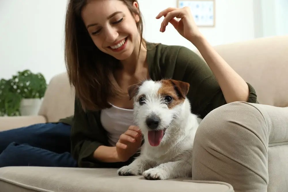 10 Common Dog Care Mistakes and How to Avoid Them